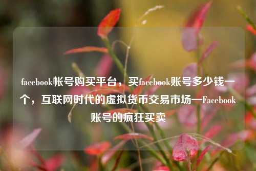 facebook帐号购买平台，买facebook账号多少钱一个，互联网时代的虚拟货币交易市场—Facebook账号的疯狂买卖