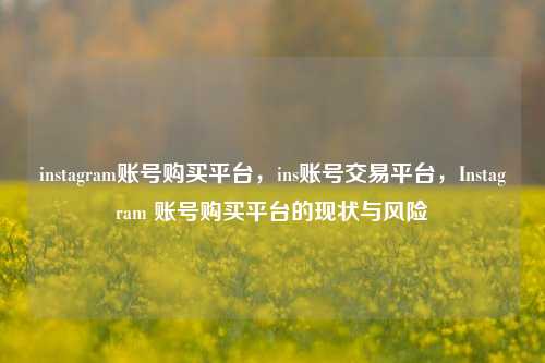 instagram账号购买平台，ins账号交易平台，Instagram 账号购买平台的现状与风险  第1张