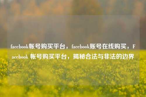 facebook帐号购买平台，facebook账号在线购买，Facebook 帐号购买平台	，揭秘合法与非法的边界  第1张