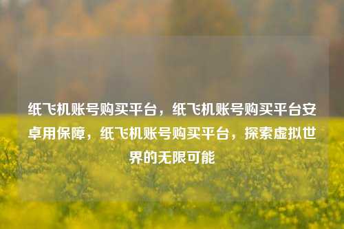 纸飞机账号购买平台，纸飞机账号购买平台安卓用保障，纸飞机账号购买平台，探索虚拟世界的无限可能