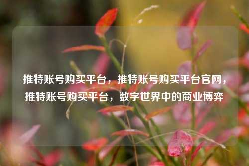 推特账号购买平台，推特账号购买平台官网，推特账号购买平台，数字世界中的商业博弈
