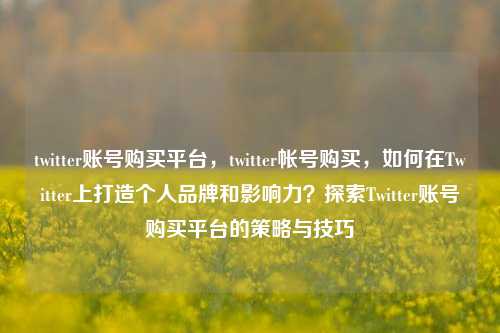 twitter账号购买平台	，twitter帐号购买，如何在Twitter上打造个人品牌和影响力？探索Twitter账号购买平台的策略与技巧  第1张