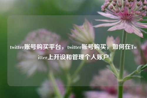 twitter账号购买平台，twitter帐号购买	，如何在Twitter上开设和管理个人账户  第1张
