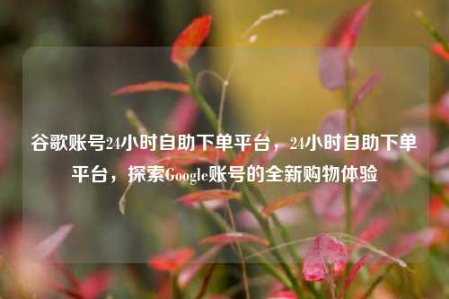 谷歌账号24小时自助下单平台，24小时自助下单平台，探索Google账号的全新购物体验