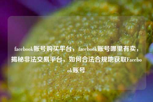 facebook帐号购买平台，facebook账号哪里有卖，揭秘非法交易平台，如何合法合规地获取Facebook账号