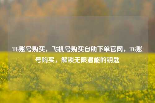 TG账号购买，飞机号购买自助下单官网，TG账号购买，解锁无限潜能的钥匙