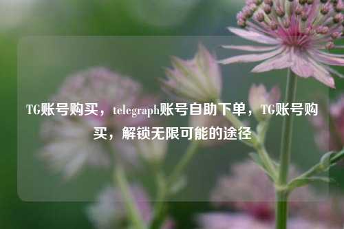 TG账号购买，telegraph账号自助下单，TG账号购买，解锁无限可能的途径