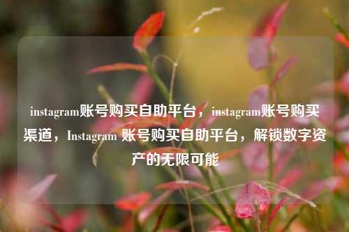 instagram账号购买自助平台，instagram账号购买渠道，Instagram 账号购买自助平台，解锁数字资产的无限可能