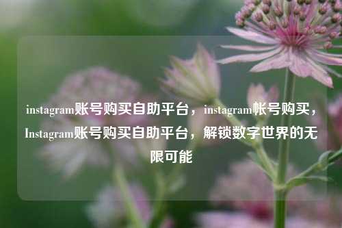 instagram账号购买自助平台，instagram帐号购买，Instagram账号购买自助平台，解锁数字世界的无限可能