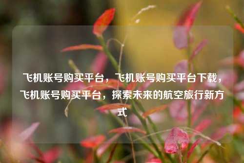 飞机账号购买平台，飞机账号购买平台下载，飞机账号购买平台，探索未来的航空旅行新方式