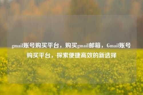 gmail账号购买平台，购买gmail邮箱，Gmail账号购买平台，探索便捷高效的新选择