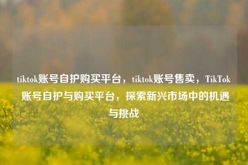 tiktok账号自护购买平台，tiktok账号售卖，TikTok 账号自护与购买平台，探索新兴市场中的机遇与挑战