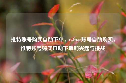 推特账号购买自助下单，twitter账号自助购买，推特账号购买自助下单的兴起与挑战