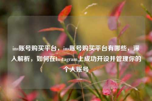 ins账号购买平台，ins账号购买平台有哪些，深入解析，如何在Instagram上成功开设并管理你的个人账号