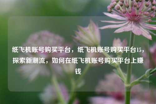 纸飞机账号购买平台	，纸飞机账号购买平台15，探索新潮流，如何在纸飞机账号购买平台上赚钱  第1张