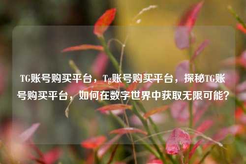 TG账号购买平台	，Tg账号购买平台，探秘TG账号购买平台，如何在数字世界中获取无限可能？  第1张
