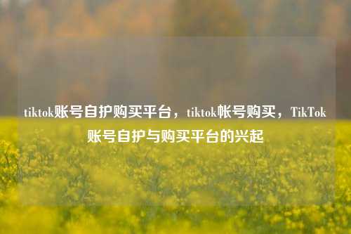 tiktok账号自护购买平台，tiktok帐号购买，TikTok账号自护与购买平台的兴起