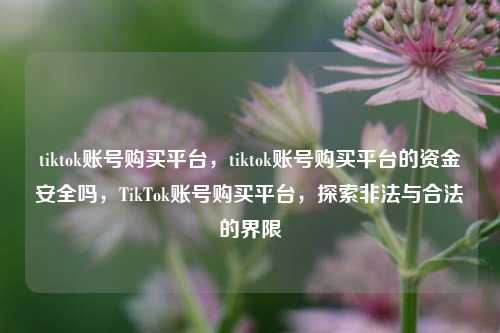 tiktok账号购买平台，tiktok账号购买平台的资金安全吗，TikTok账号购买平台，探索非法与合法的界限