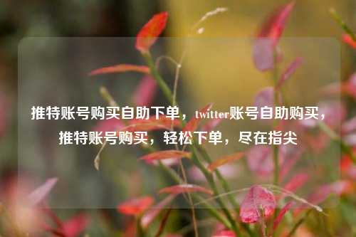 推特账号购买自助下单，twitter账号自助购买，推特账号购买，轻松下单，尽在指尖