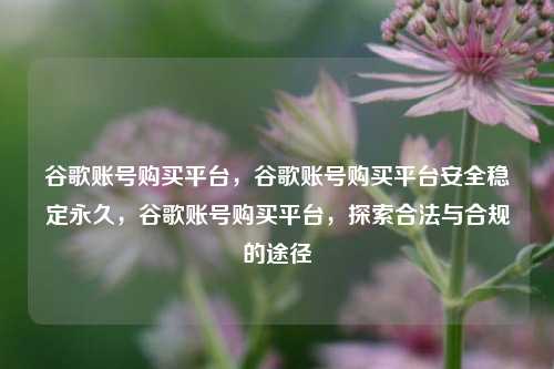 谷歌账号购买平台，谷歌账号购买平台安全稳定永久，谷歌账号购买平台，探索合法与合规的途径