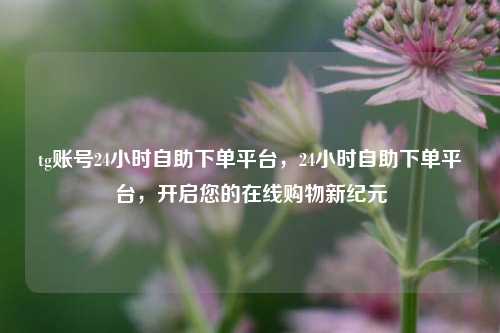 tg账号24小时自助下单平台，24小时自助下单平台，开启您的在线购物新纪元
