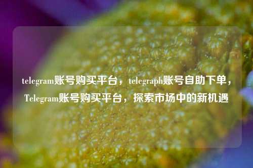 telegram账号购买平台，telegraph账号自助下单，Telegram账号购买平台，探索市场中的新机遇