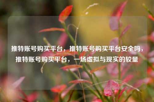 推特账号购买平台，推特账号购买平台安全吗，推特账号购买平台，一场虚拟与现实的较量