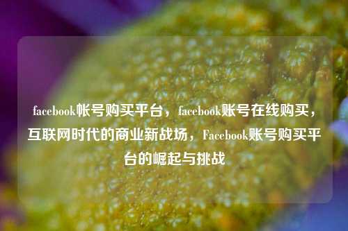 facebook帐号购买平台，facebook账号在线购买，互联网时代的商业新战场，Facebook账号购买平台的崛起与挑战