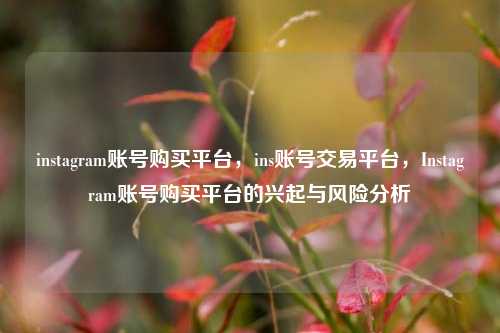 instagram账号购买平台，ins账号交易平台，Instagram账号购买平台的兴起与风险分析