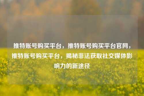推特账号购买平台，推特账号购买平台官网，推特账号购买平台，揭秘非法获取社交媒体影响力的新途径