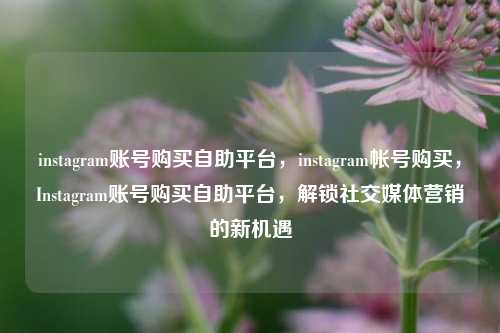 instagram账号购买自助平台，instagram帐号购买，Instagram账号购买自助平台，解锁社交媒体营销的新机遇