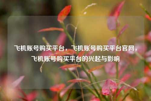 飞机账号购买平台，飞机账号购买平台官网，飞机账号购买平台的兴起与影响
