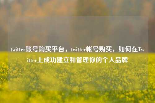 twitter账号购买平台，twitter帐号购买，如何在Twitter上成功建立和管理你的个人品牌  第1张