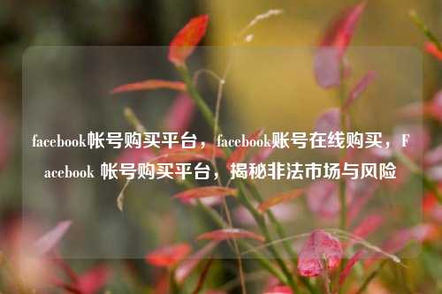 facebook帐号购买平台，facebook账号在线购买，Facebook 帐号购买平台，揭秘非法市场与风险