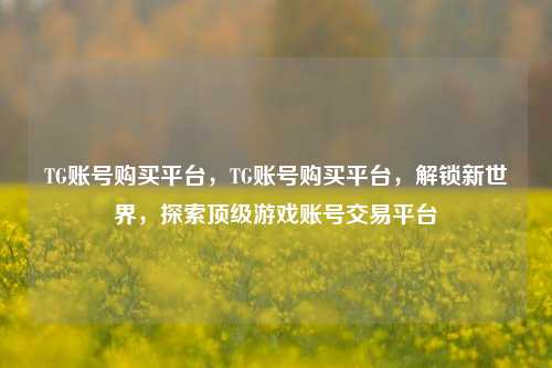 TG账号购买平台，TG账号购买平台，解锁新世界，探索顶级游戏账号交易平台
