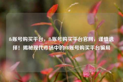 fb账号购买平台，fb账号购买平台官网，谨慎选择！揭秘现代市场中的FB账号购买平台骗局