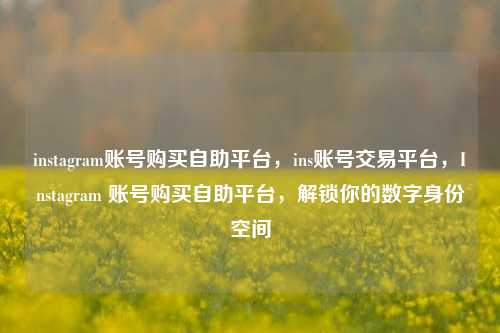 instagram账号购买自助平台，ins账号交易平台，Instagram 账号购买自助平台，解锁你的数字身份空间