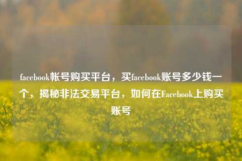 facebook帐号购买平台，买facebook账号多少钱一个，揭秘非法交易平台，如何在Facebook上购买账号