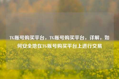 TG账号购买平台，TG账号购买平台，详解，如何安全地在TG账号购买平台上进行交易