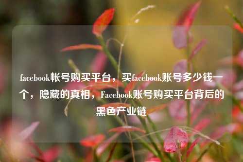facebook帐号购买平台，买facebook账号多少钱一个，隐藏的真相，Facebook账号购买平台背后的黑色产业链