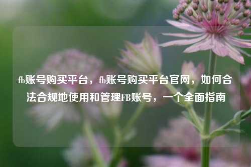 fb账号购买平台，fb账号购买平台官网，如何合法合规地使用和管理FB账号，一个全面指南