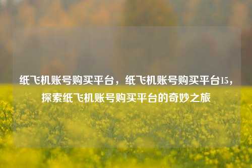 纸飞机账号购买平台	，纸飞机账号购买平台15，探索纸飞机账号购买平台的奇妙之旅  第1张