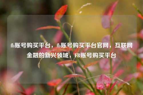 fb账号购买平台，fb账号购买平台官网，互联网金融的新兴领域，FB账号购买平台
