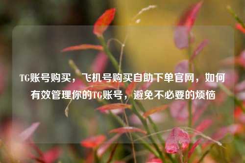 TG账号购买，飞机号购买自助下单官网，如何有效管理你的TG账号，避免不必要的烦恼