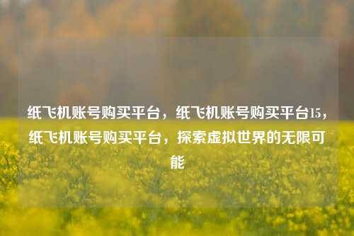 纸飞机账号购买平台，纸飞机账号购买平台15，纸飞机账号购买平台，探索虚拟世界的无限可能