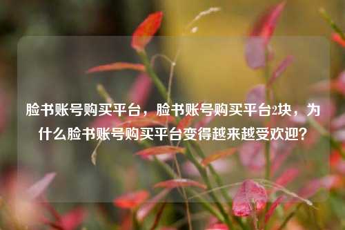 脸书账号购买平台，脸书账号购买平台2块，为什么脸书账号购买平台变得越来越受欢迎？