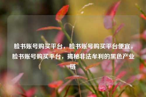 脸书账号购买平台，脸书账号购买平台便宜，脸书账号购买平台，揭秘非法牟利的黑色产业链
