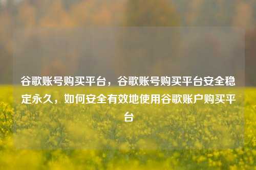 谷歌账号购买平台，谷歌账号购买平台安全稳定永久，如何安全有效地使用谷歌账户购买平台  第1张