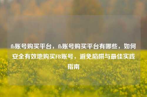fb账号购买平台，fb账号购买平台有哪些，如何安全有效地购买FB账号，避免陷阱与最佳实践指南  第1张