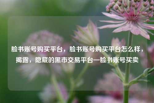 脸书账号购买平台，脸书账号购买平台怎么样，揭露，隐藏的黑市交易平台—脸书账号买卖